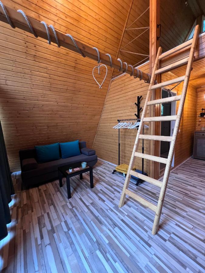 Cabane A-Frame Svinita Exterior photo
