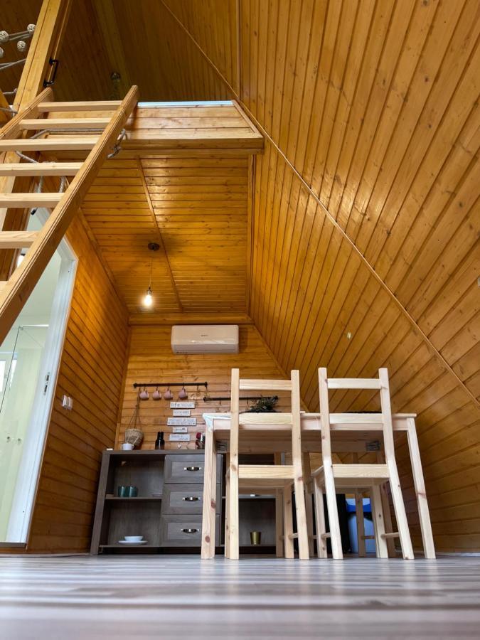 Cabane A-Frame Svinita Exterior photo